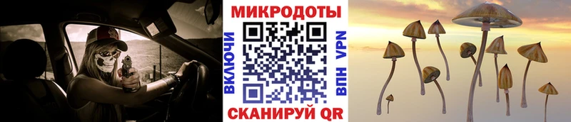 Псилоцибиновые грибы мицелий ссылка на мегу рабочий сайт Семикаракорск
